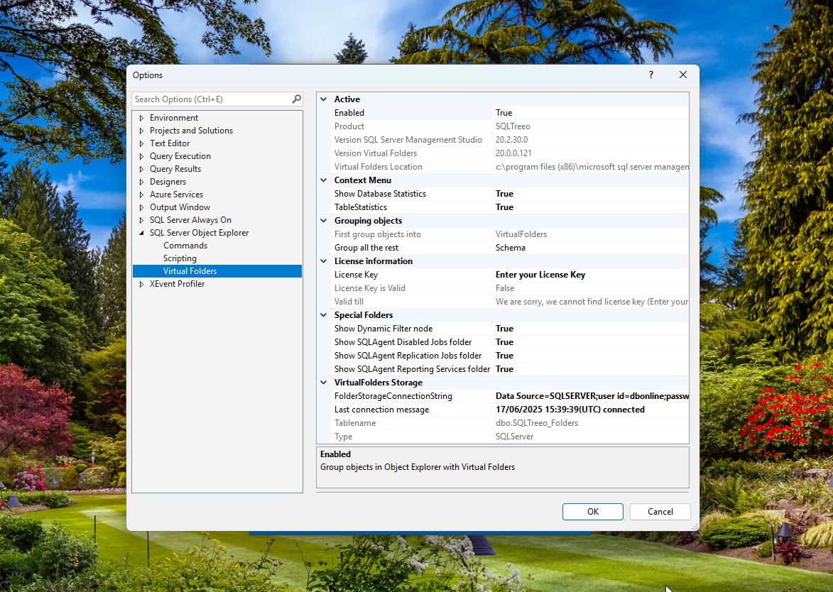 Virtual Folders options in SSMS