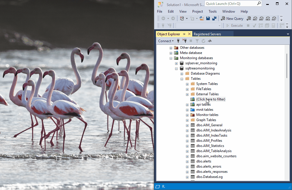 Click here to filter in the Object Explorer
